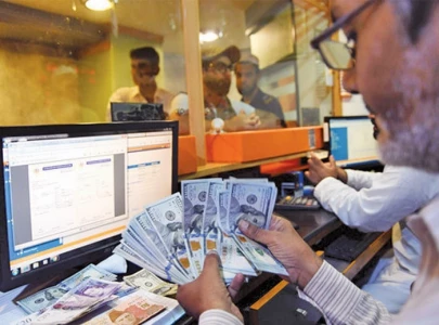 caretaker s tax based performance caretaker s tax based performance