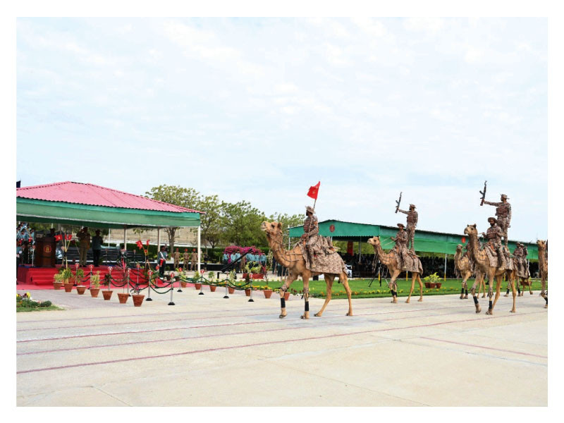 camel mounted rangers present salute at the passing out parade of pakistan rangers sindh at the rangers training centre and school karachi on monday photo express