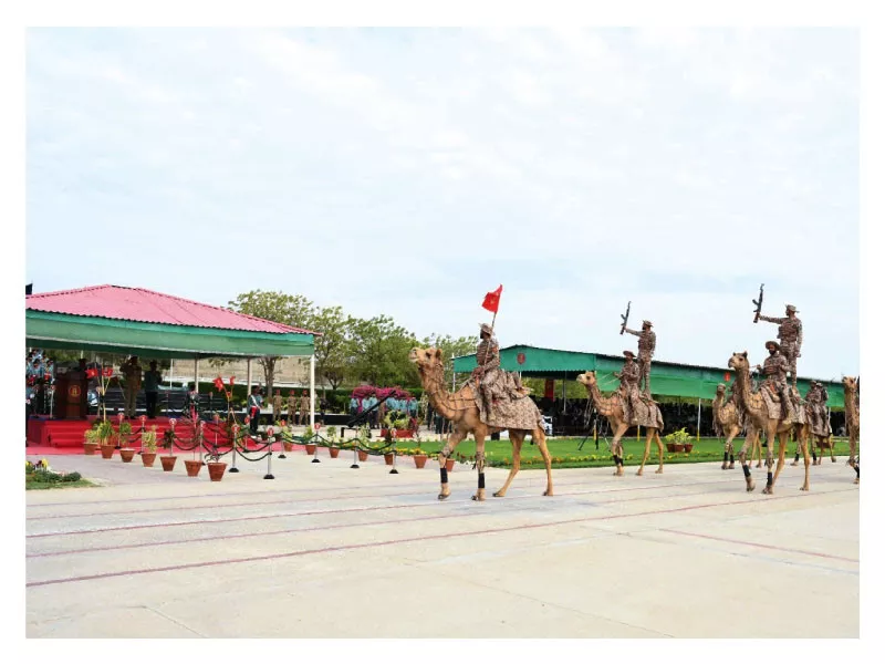 camel mounted rangers present salute at the passing out parade of pakistan rangers sindh at the rangers training centre and school karachi on monday photo express camel mounted rangers present salute at the passing out parade of pakistan rangers sindh at the rangers training centre and school karachi on monday photo express