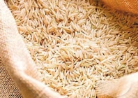 basmati rice export is slowing down with exporters shipping out 66 863 metric tonnes valuing at 76 861 million the decline is attributed to stiff competition with india offering pusa rice varieties that resemble basmati at lower prices photo file