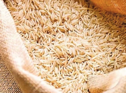 exports to reach 4 billion rice exports soar amid bumper harvest exports to reach 4 billion rice exports soar amid bumper harvest