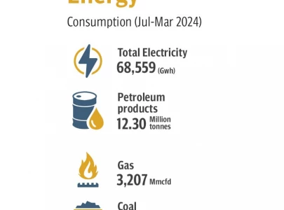 ipps get rs2 8 billion windfall every year ipps get rs2 8 billion windfall every year