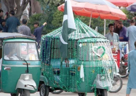 k p clad in green for aug 14