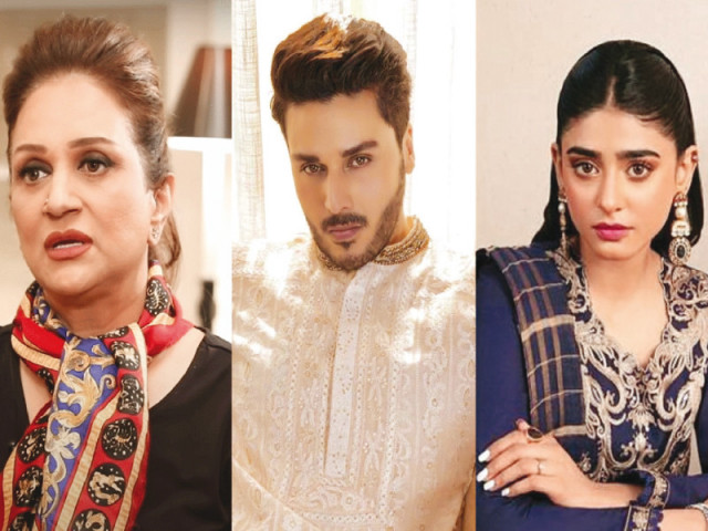 bushra ansari and ahsan khan demanded severe punishment for perpetrators while sehar khan advised women to practise self defence photos file bushra ansari and ahsan khan demanded severe punishment for perpetrators while sehar khan advised women to practise self defence photos file