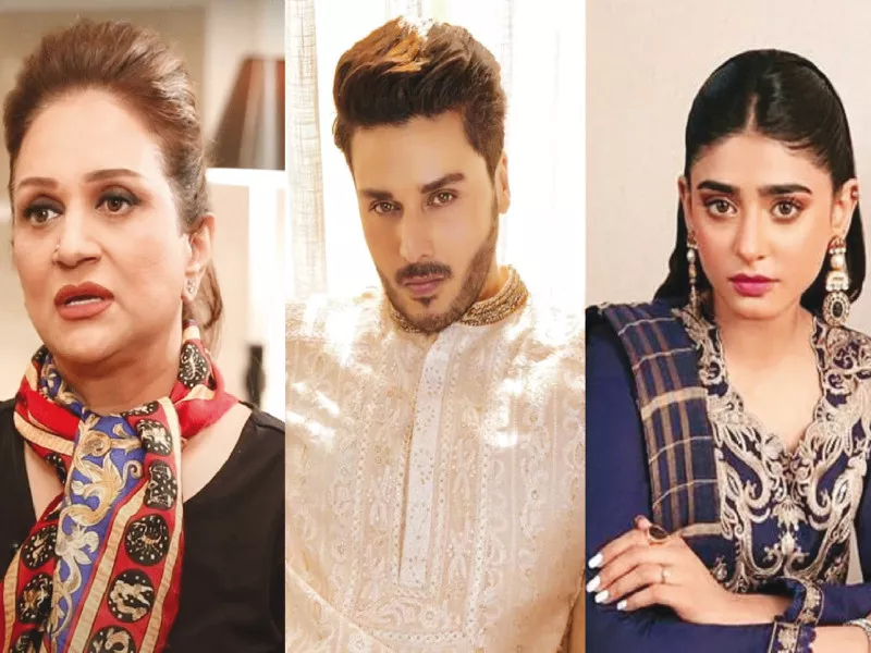 bushra ansari and ahsan khan demanded severe punishment for perpetrators while sehar khan advised women to practise self defence photos file bushra ansari and ahsan khan demanded severe punishment for perpetrators while sehar khan advised women to practise self defence photos file