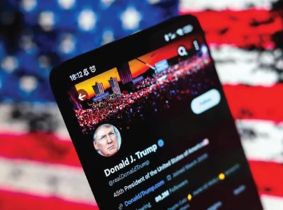 trumped up image theft