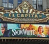 snow white fails to excite hollywood