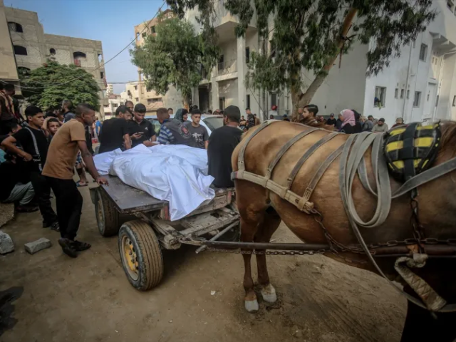 Palestinians take the bodies of loved ones killed in Israeli attacks to al-Shifa Hospital in Gaza City, Gaza, on Tuesday [Anadolu]