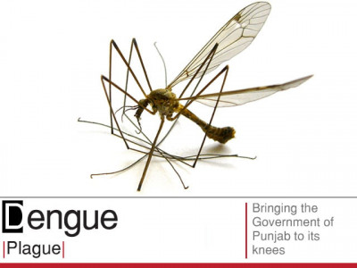 tribune s gamechangers 2011 dengue tribune s gamechangers 2011 dengue