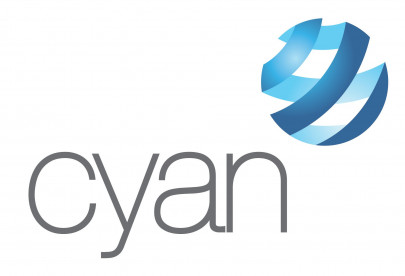 alternative investments cyan   tailoring private equity to local market alternative investments cyan   tailoring private equity to local market