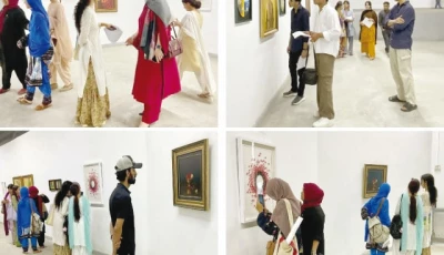 femarmony art exhibition opens in karachi