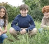 hogwarts reboot faces early turbulence