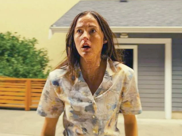photo a24 photo a24
