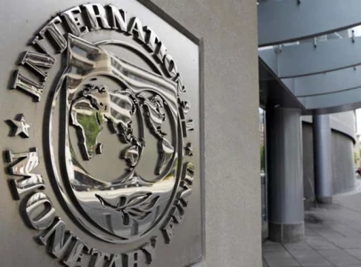 is imf s cure worse than the disease is imf s cure worse than the disease