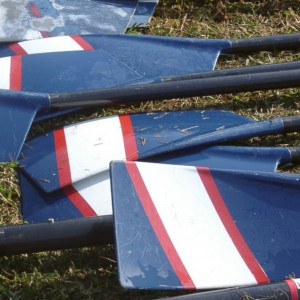 rowing success paves way for concerns rowing success paves way for concerns