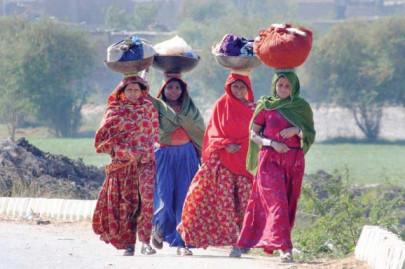 why do sindhis keep supporting rulers who fail to deliver ask intellectuals why do sindhis keep supporting rulers who fail to deliver ask intellectuals