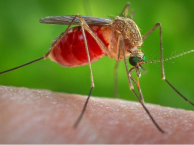 will climate change cause more complex effects on sexual and reproductive health will climate change cause more complex effects on sexual and reproductive health