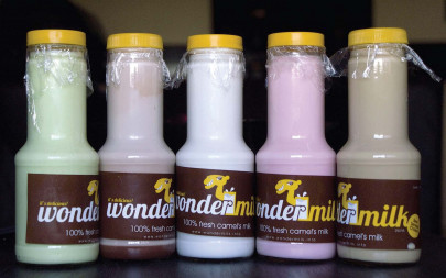 can karachi s camel milk shake the medical world can karachi s camel milk shake the medical world