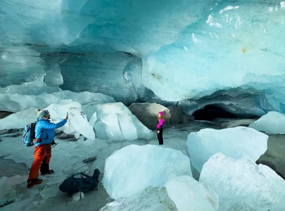 melting ice could slow vital antarctic ocean current study