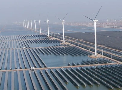 targeted subsidies clean energy to fight crisis targeted subsidies clean energy to fight crisis