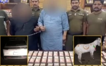 two held for paying for livestock with fake currency