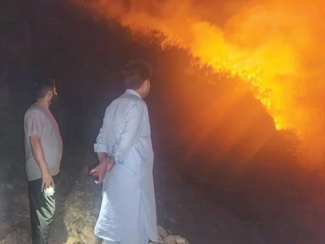 a raging wildfire in khanpur s sarral mountains engulfs forested slopes as officials and rescue teams battle through the night to contain the spreading blaze photo express a raging wildfire in khanpur s sarral mountains engulfs forested slopes as officials and rescue teams battle through the night to contain the spreading blaze photo express