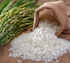 pakistan rice festival opens doors to europe pakistan rice festival opens doors to europe