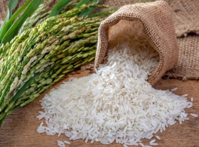 pakistan rice festival opens doors to europe
