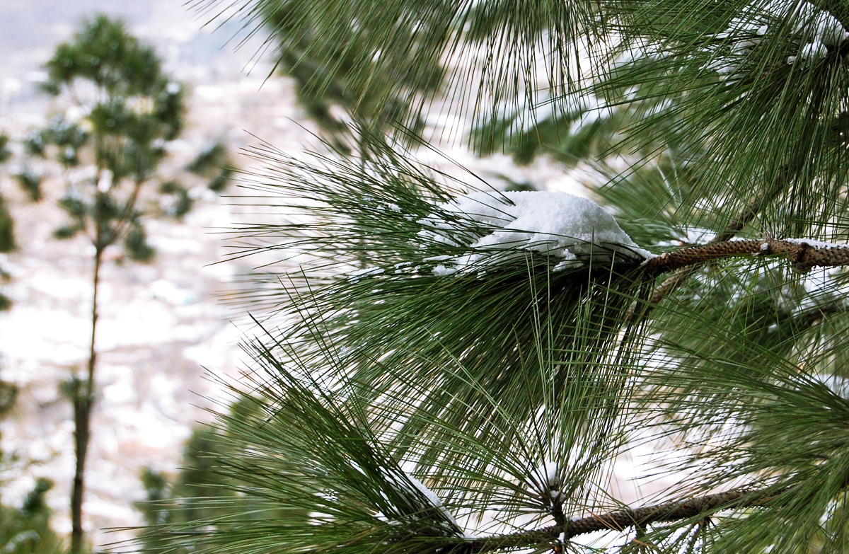 Updated Jan 17, 2012