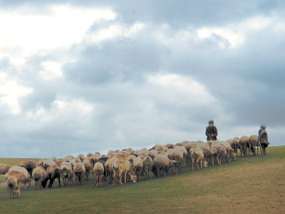 up north and personal across the border up north and personal across the border