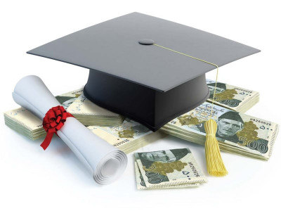 gaming the system it pays to be a professional at ogra