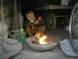 city s homeless brave harsh cold