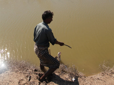 pakistan detains 31 indian fishermen pakistan detains 31 indian fishermen