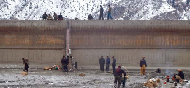 insects believed to have caused cracks in water reservoir insects believed to have caused cracks in water reservoir