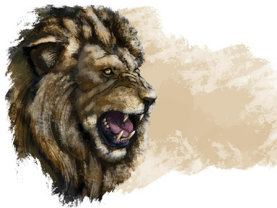 a walk on the wild side