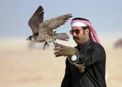 is pakistan okay with its houbara bustards being hunted to benefit foreign policy is pakistan okay with its houbara bustards being hunted to benefit foreign policy