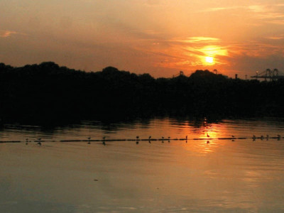 radio gaga environmental experts go on air to bridge the communication gap