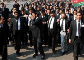 lawyers reject constitutional amendments