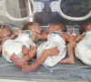 rare birth of quintuplets at hfh