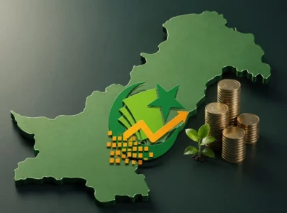 investpak opens rs82tr market to small investors investpak opens rs82tr market to small investors