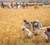 experts call for sustainability reporting in agriculture experts call for sustainability reporting in agriculture