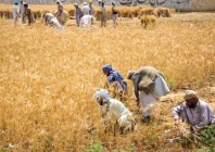 experts call for sustainability reporting in agriculture