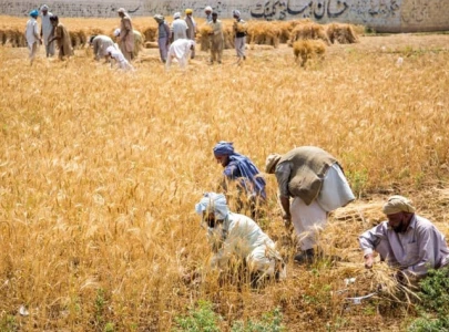 experts call for sustainability reporting in agriculture experts call for sustainability reporting in agriculture
