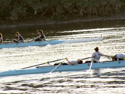 rowing kgs triumph at interschool regatta