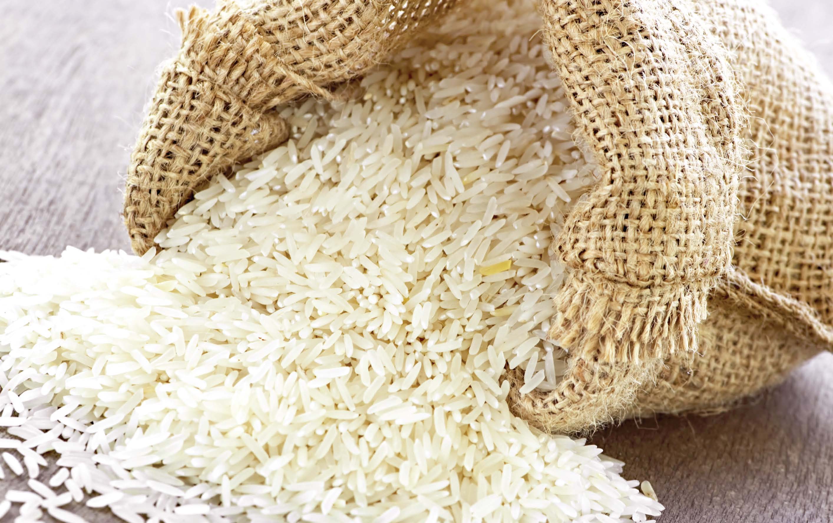 rice export pakistan has potential of 4b but barely touches 1b