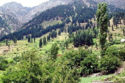 reasearch media perception affects tourism potential