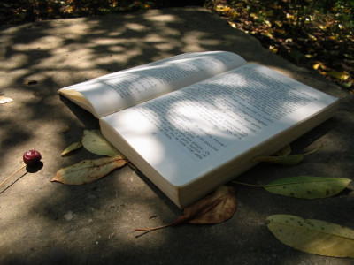 from book to boutique peshawar s largest old bookshop gets shelved from book to boutique peshawar s largest old bookshop gets shelved