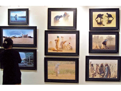 art exhibition a kaleidoscope of domestic hues