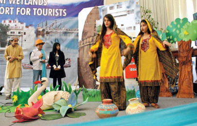 carnival enlightenment on nature through entertainment