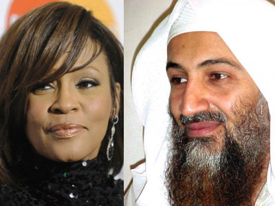 bin laden wanted to marry truly islamic whitney houston report bin laden wanted to marry truly islamic whitney houston report